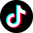 TikTok Icon